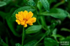 望城企業(yè)網(wǎng)站建設(shè)市場(chǎng)分析